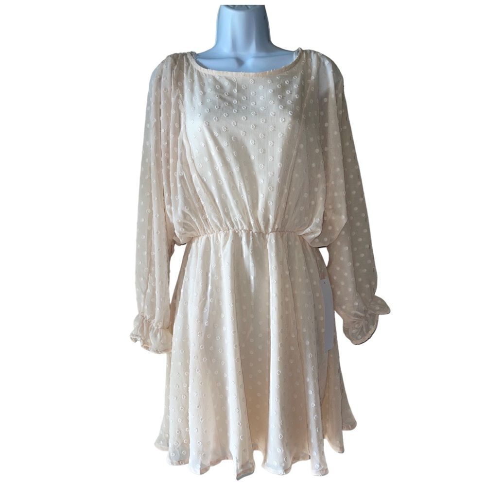 Urban Outfitters Lumiere Cream Long Sleeve Swiss Dot
Dolman Dress sheer